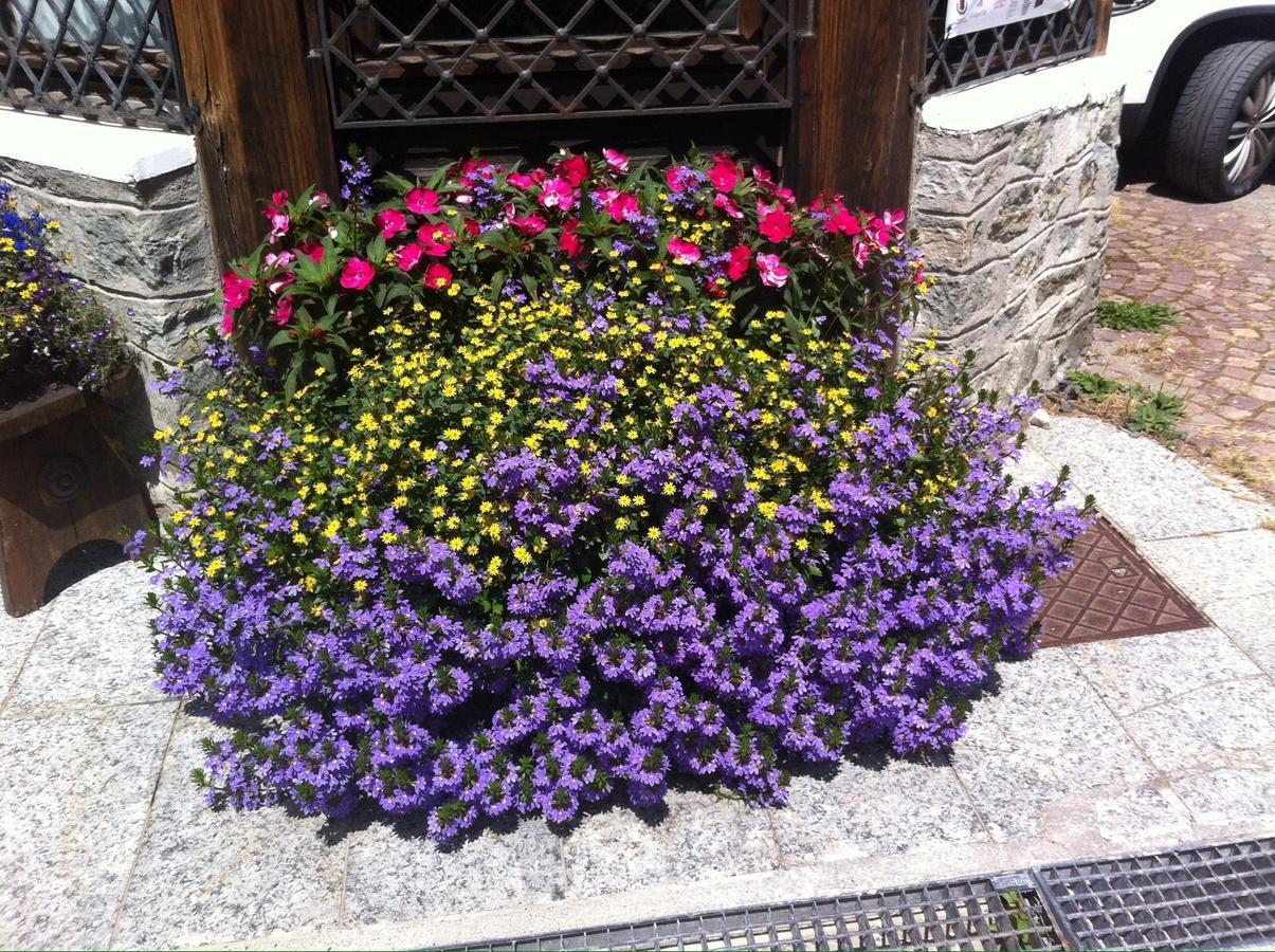 Hotel Gran Baita Gressoney-Saint-Jean Exterior photo